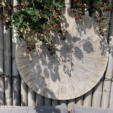 Groene Oase Bij Schoorl Warmenhuizen